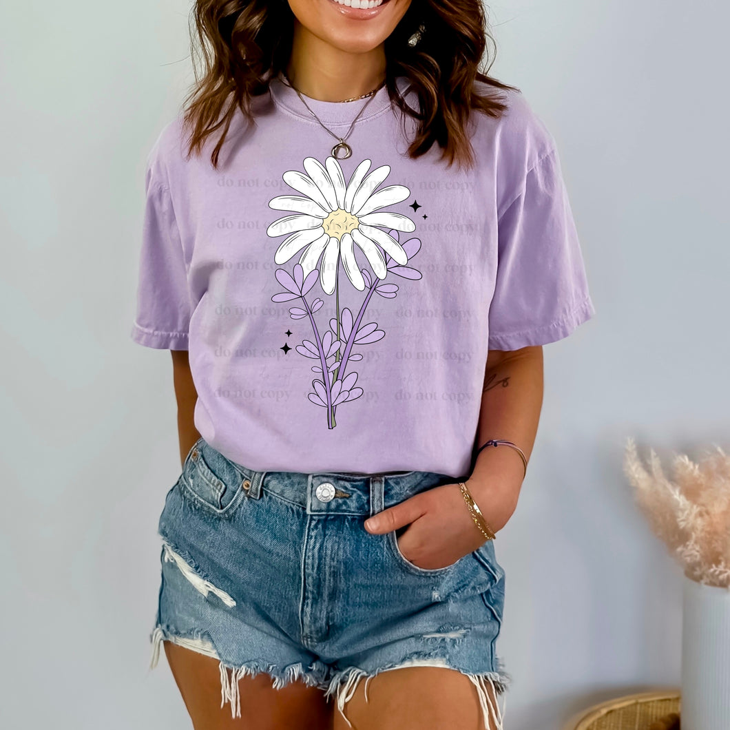 Purple Daisy