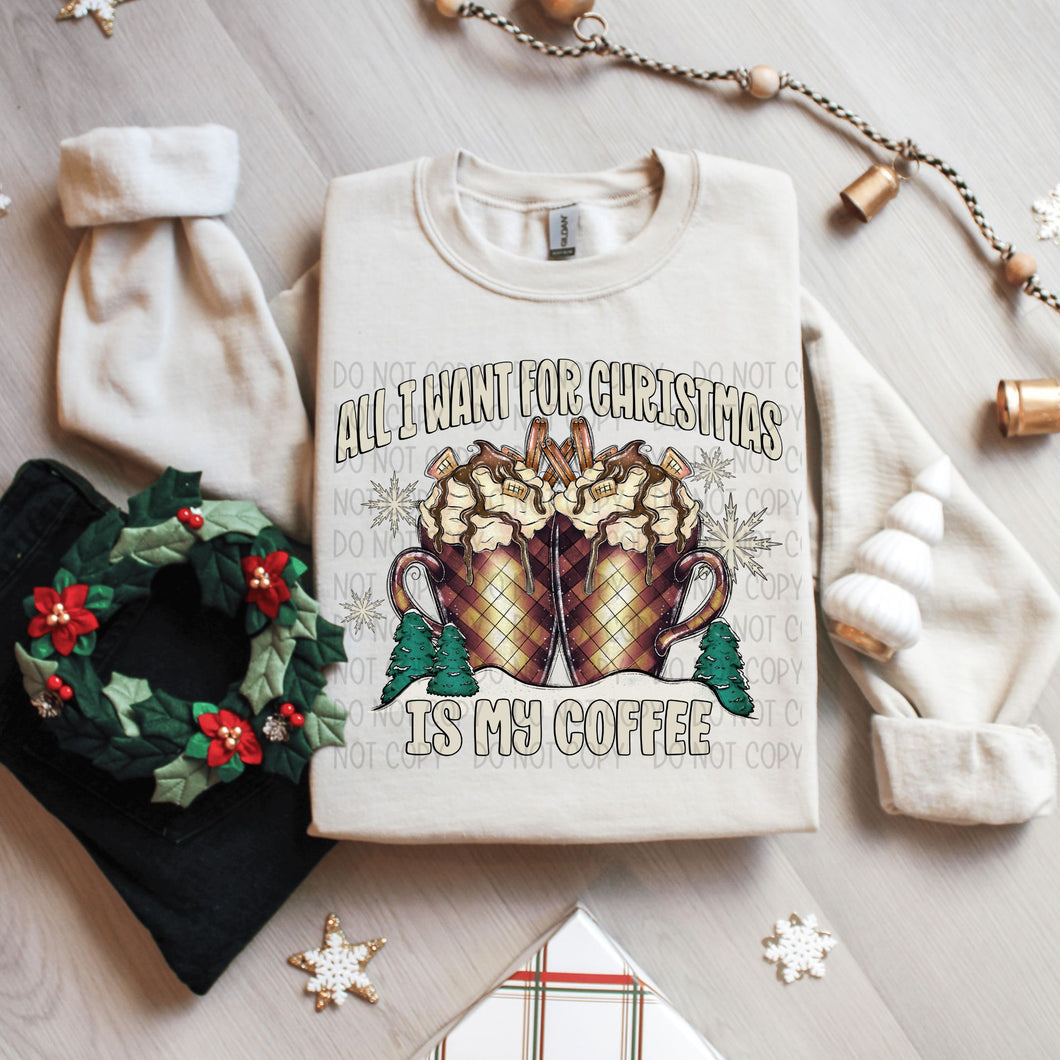 All I Want For Christmas.......