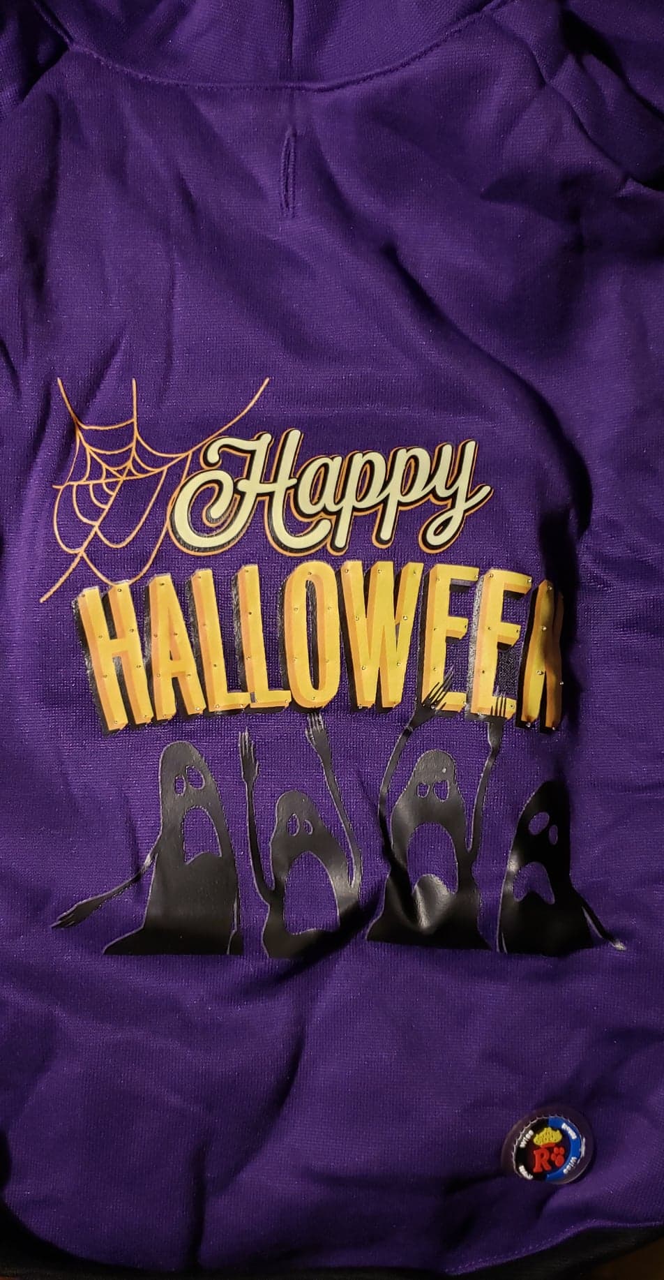 LED Halloween Pet Hoodie